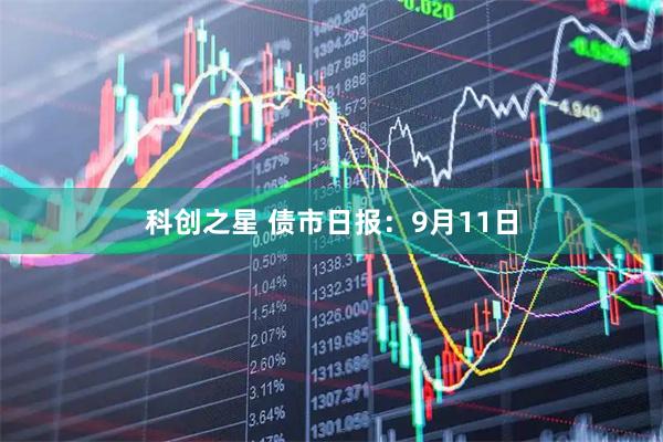 科创之星 债市日报：9月11日