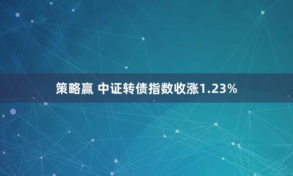 策略赢 中证转债指数收涨1.23%