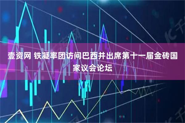 壹资网 铁凝率团访问巴西并出席第十一届金砖国家议会论坛