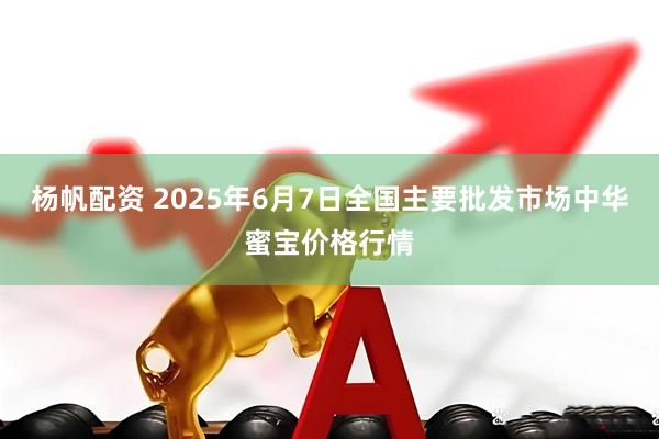 杨帆配资 2025年6月7日全国主要批发市场中华蜜宝价格行情