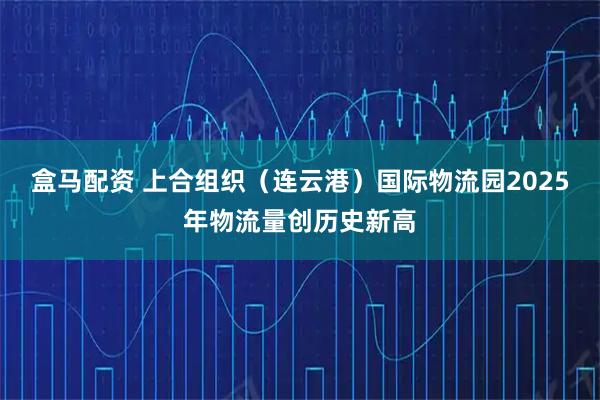 盒马配资 上合组织（连云港）国际物流园2025年物流量创历史新高